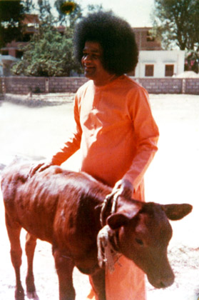 Beloved Bhagawan Sri Sathya Sai Baba